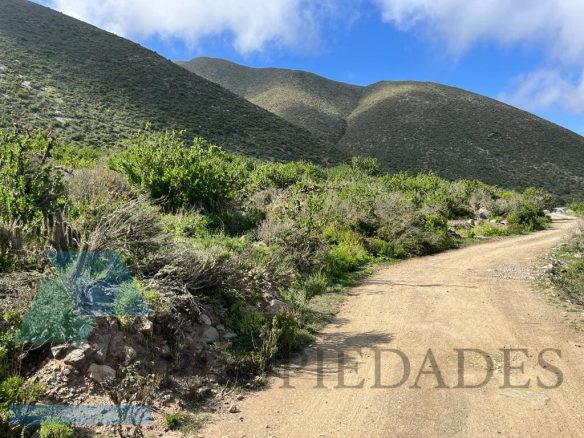 Parcela 174, Bahía El Mirador del Arrayán – Kilómetro 499, La Serena